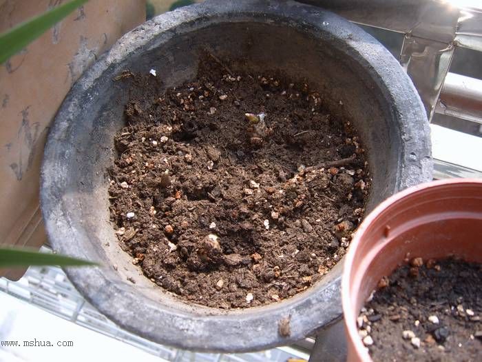 �����ŵ�����