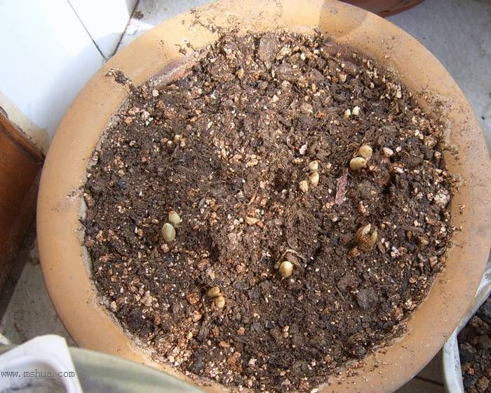 �����ŵ�����