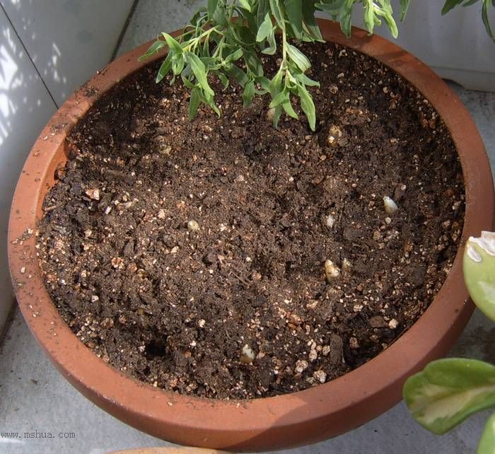 �����ŵ�����