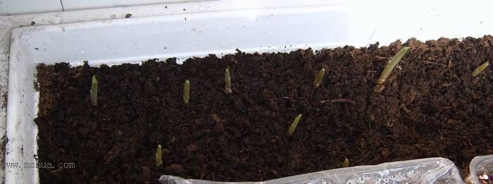 �����ŵ�����