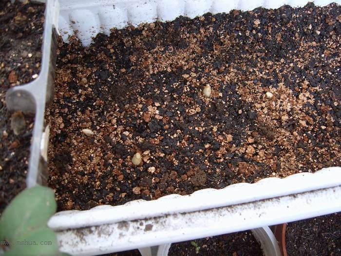 �����ŵ�����