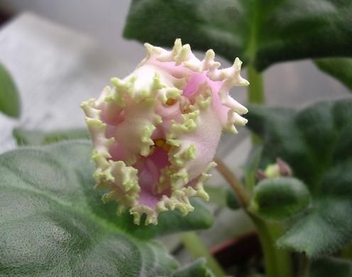 [��ˮ]��������ˮ��