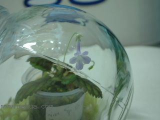 [����]����̦��������