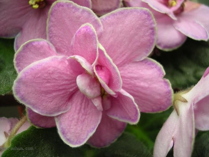 [��ˮ]��������ˮ��