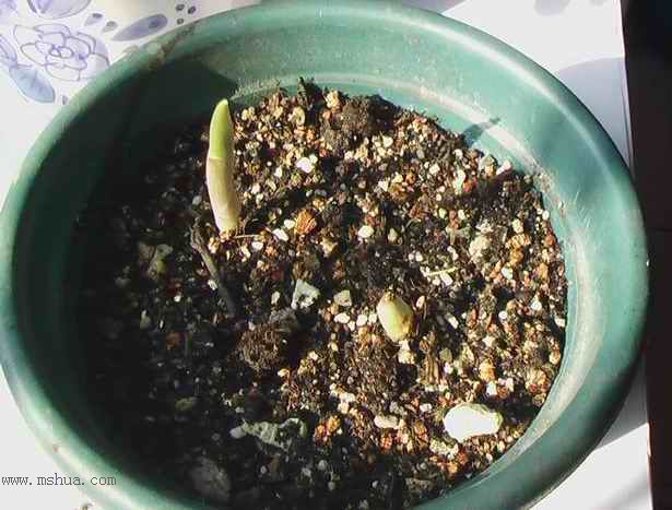 �Ź�������ȫ������