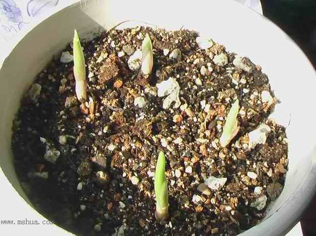 �Ź�������ȫ������