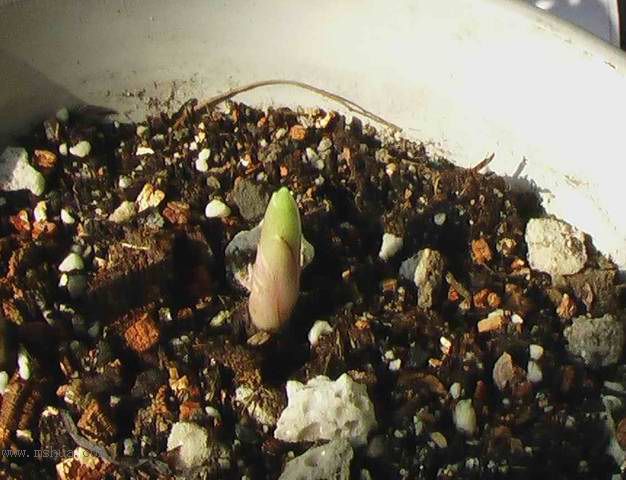 �Ź�������ȫ������