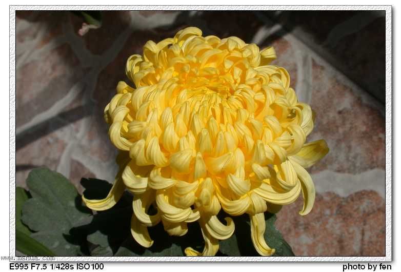 �ջ�--����