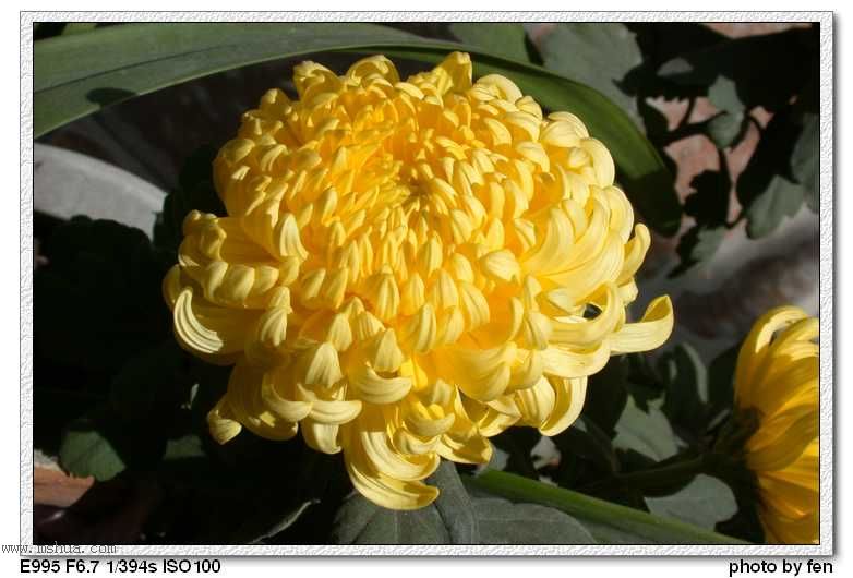 �ջ�--����