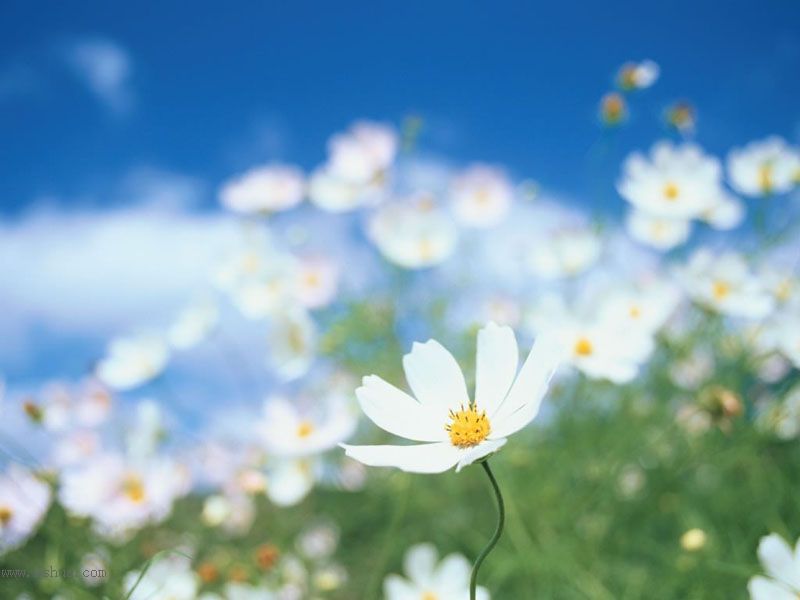 ������Щ���㶼�ܽг�������