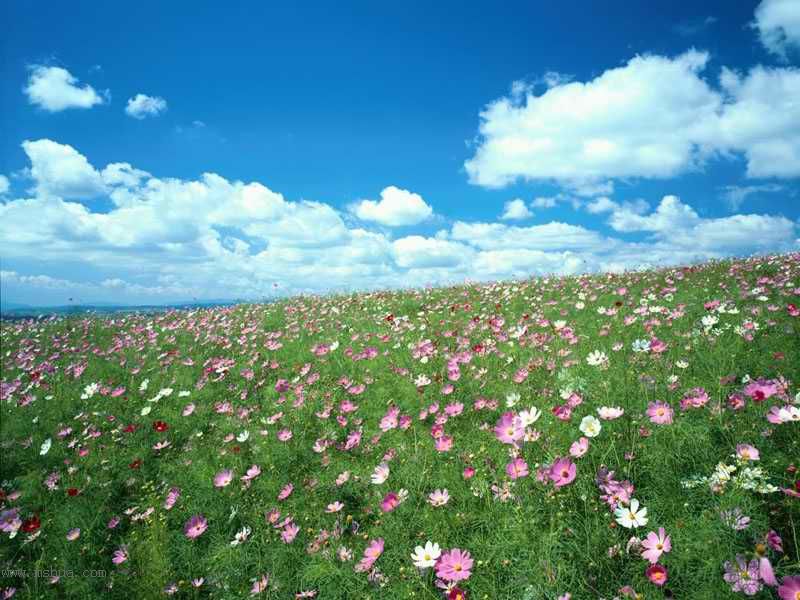 ������Щ���㶼�ܽг�������