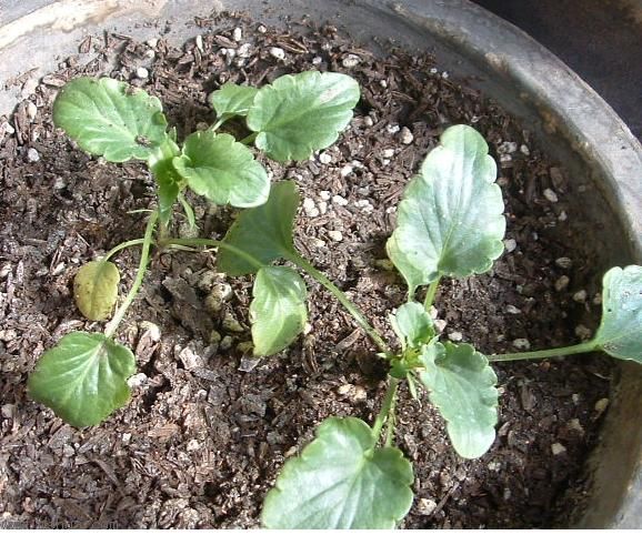 �ҵ��ﲥ�ɹ�����Щ�����Ҹ������֣�лл��