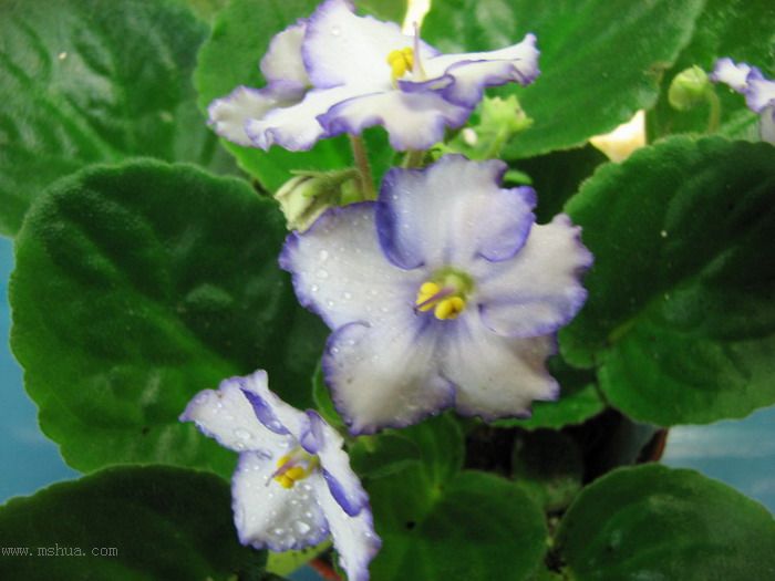 ���¼ҵ�������