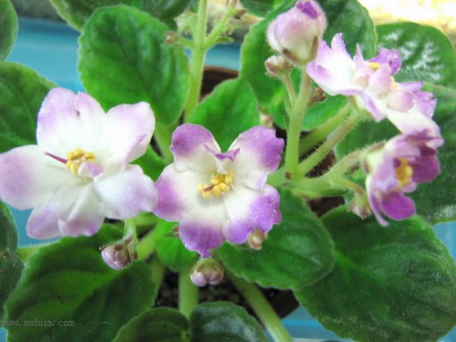 ���¼ҵ�������