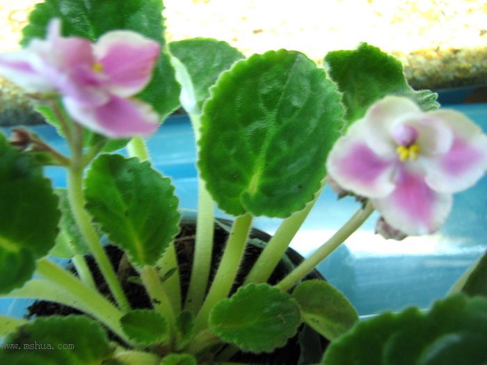 ���¼ҵ�������