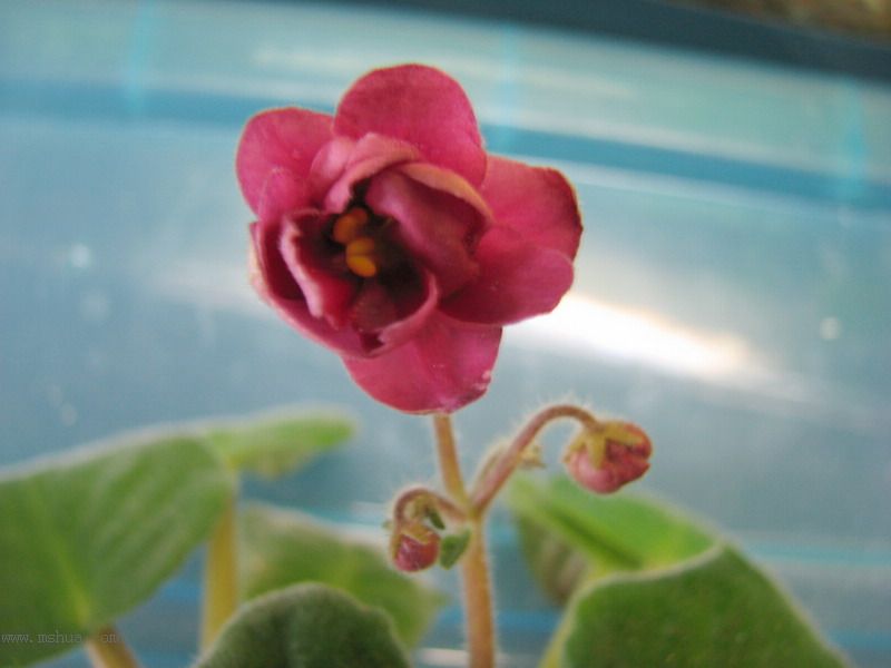 ���¼ҵ�������