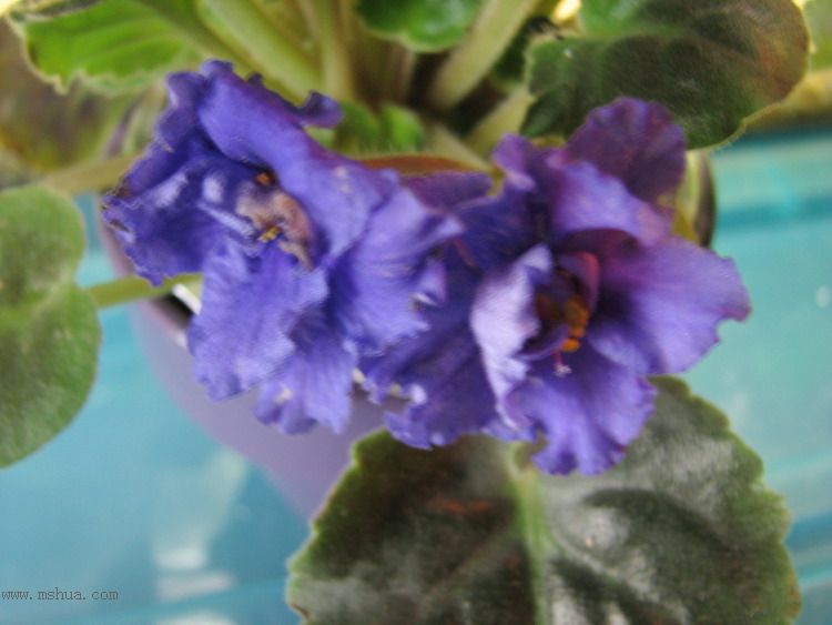 ���¼ҵ�������