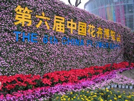 �����绨����