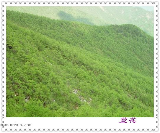 [��ˮ]һ��Ϊ�˻��֣�