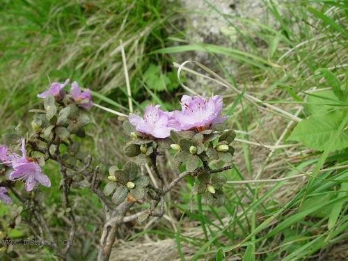 [��ˮ]һ��Ϊ�˻��֣�