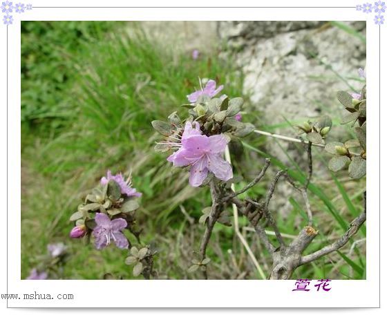 [��ˮ]һ��Ϊ�˻��֣�