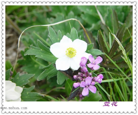 [��ˮ]һ��Ϊ�˻��֣�