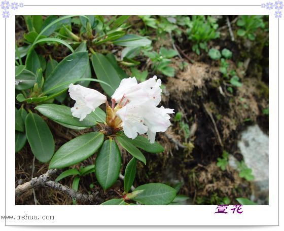 [��ˮ]һ��Ϊ�˻��֣�