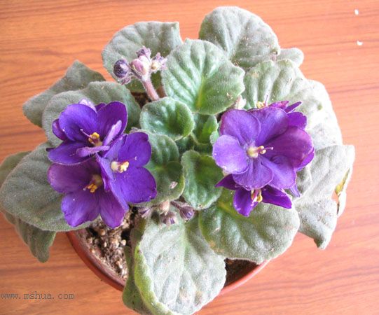 [�칫������ϵ��]����ķ�����