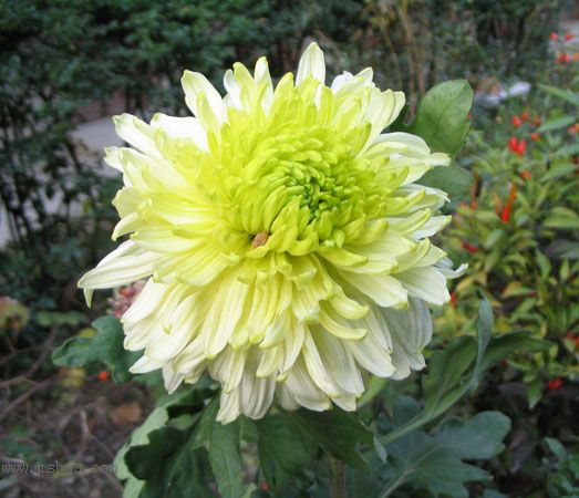 ����һ��ջ��ͷף�pp��P2��