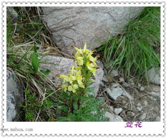 [��ˮ]һ��Ϊ�˻��֣�