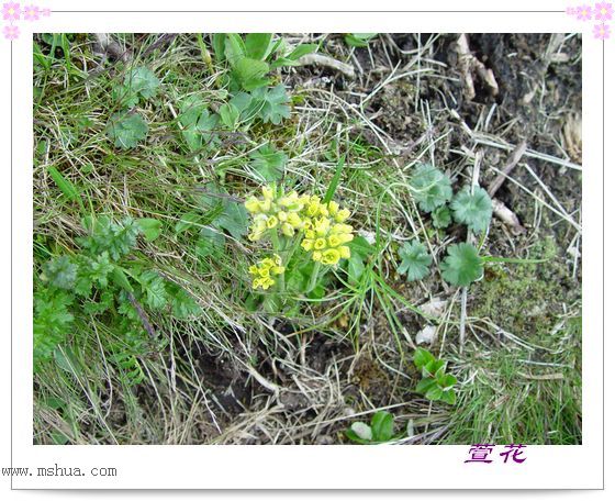 [��ˮ]һ��Ϊ�˻��֣�