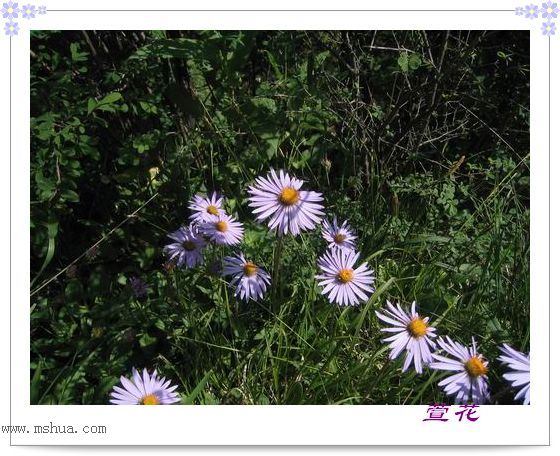 [��ˮ]һ��Ϊ�˻��֣�