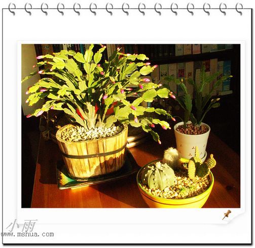 ���¼���,�����Ŷ