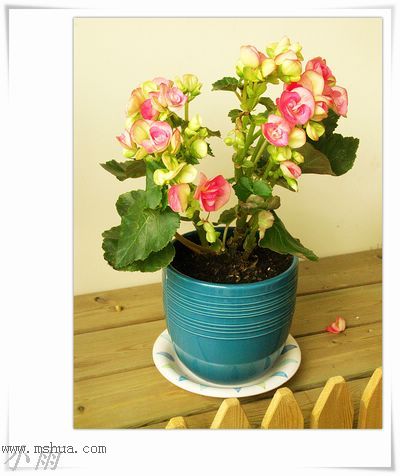 ���¼���,�����Ŷ