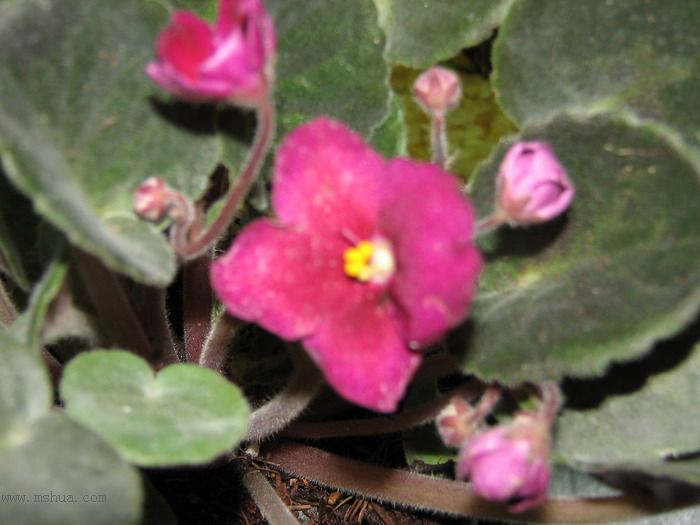 ���¼ҵ�������