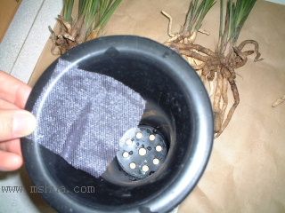 ��һ���ջ�