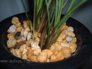 ��һ���ջ�