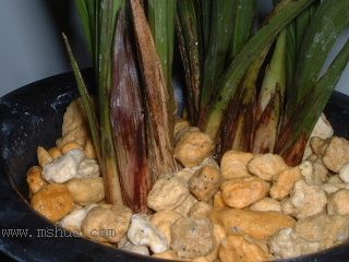 ��һ���ջ�