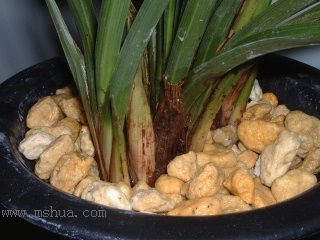 ��һ���ջ�