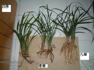 ��һ���ջ�