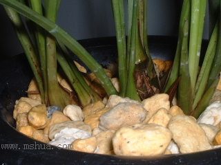 ��һ���ջ�