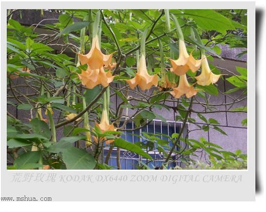 2005����֮��