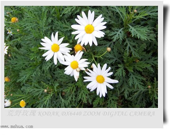 2005����֮��