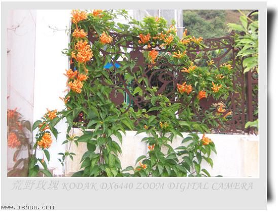 2005����֮��