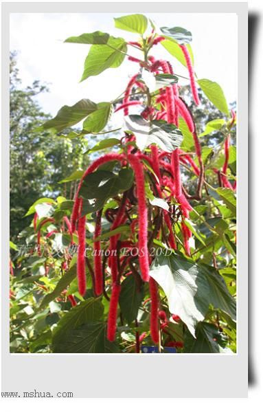 2005����֮��