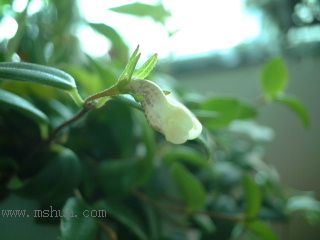 Kee Wee - ����