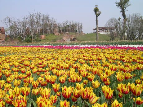 ��������չ��