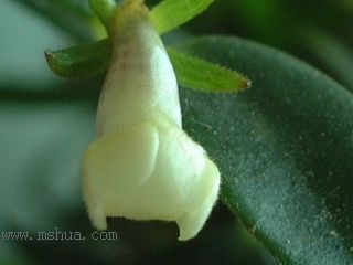 Kee Wee - ����