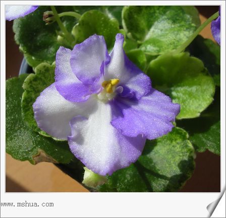 [����]Rachel������С�ǣ�P27�¿�Ʒ�֣�