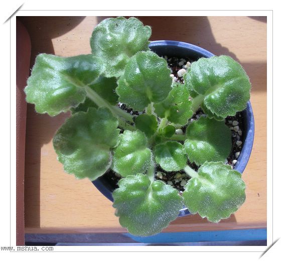 [����]Rachel������С�ǣ�P27�¿�Ʒ�֣�